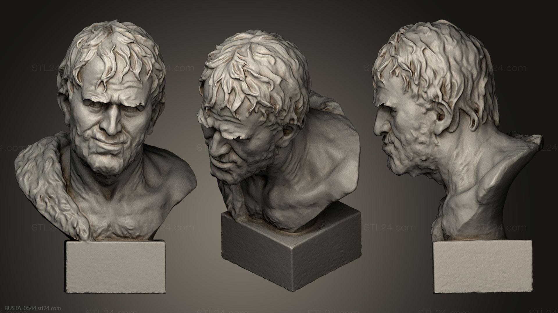 Бюсты и головы античные и исторические (Неизвестный мужчина 9, BUSTA_0544) 3D модель для ЧПУ станка
